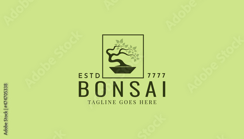 Vintage Bonsai Tree Logo Design Inspiration. Vector illustration of aesthetic bonsai and potted plants. Bonsai tree from chinese and japanese culture brand identity for Hotel retro brand logo.