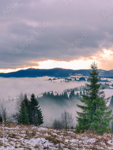 Fototapeta Naklejka Na Ścianę i Meble -  view of sunrise above snowed winter carpathian mountains