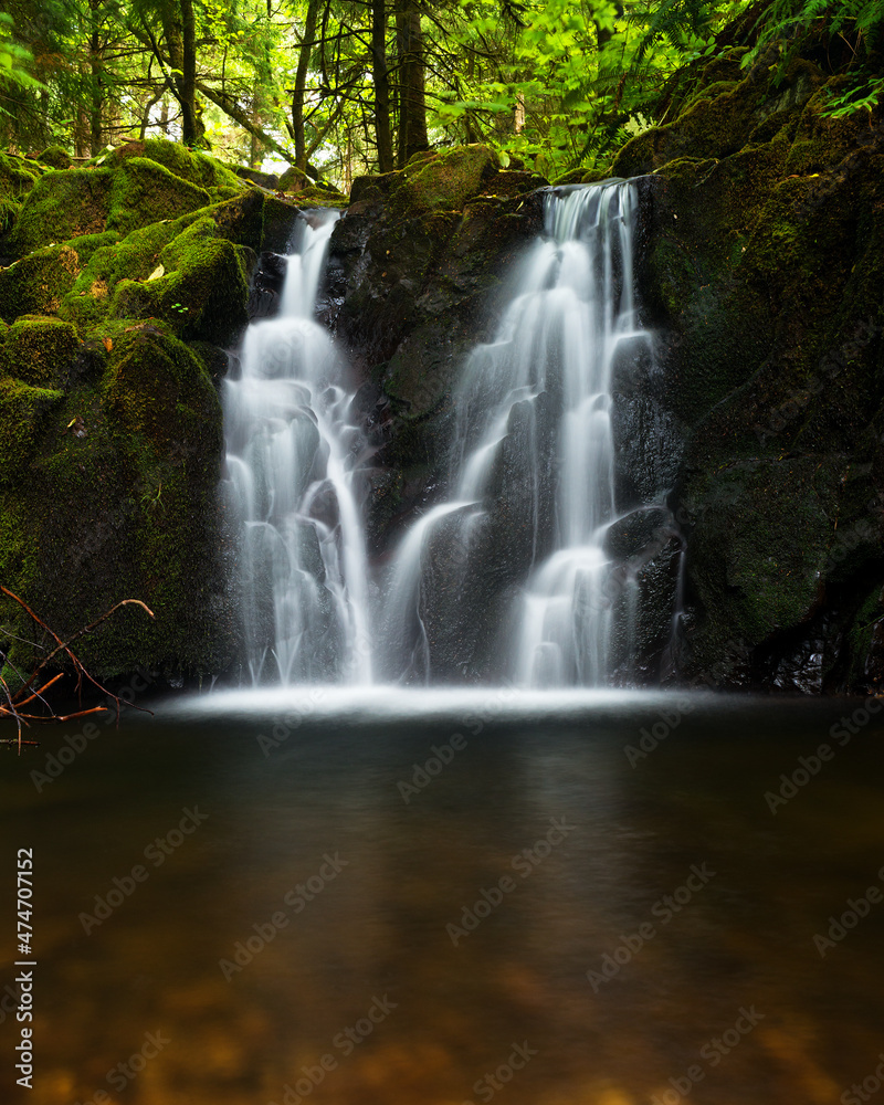 Obraz premium A small waterfall along a creek located in Oswald West State Park in Oregon.