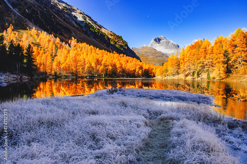 Lai da Palpuogna, Albula Pass, Bergun, Grisons, Switzerland photo