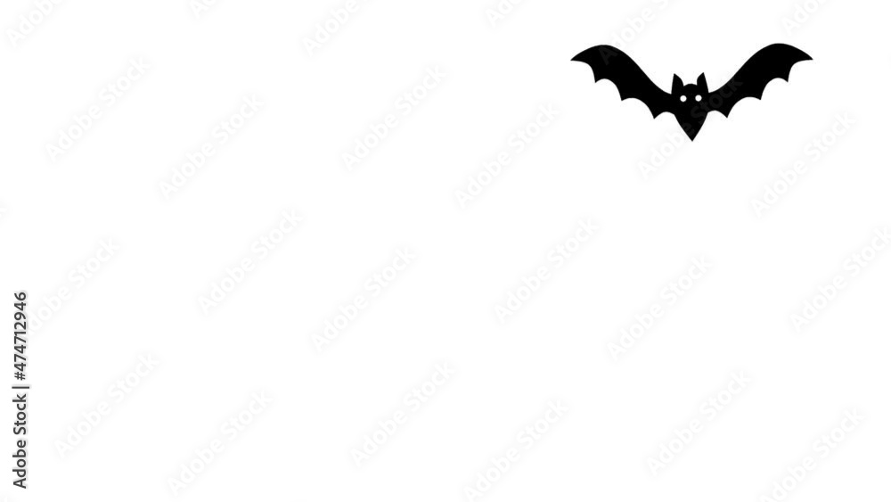 flying black bat on white background flying black bat on white background
