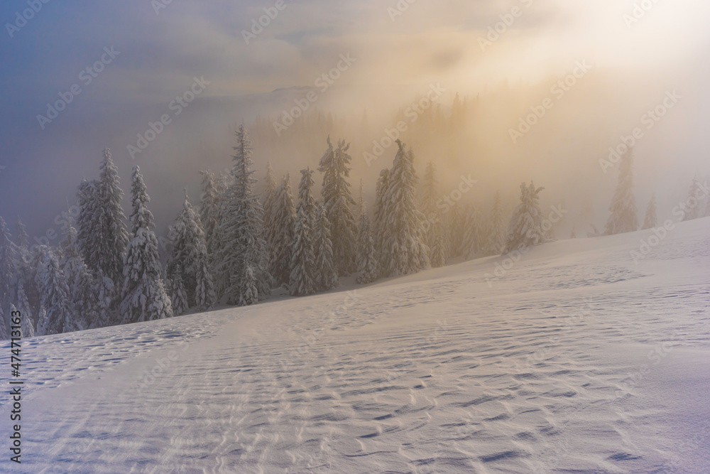 sunrise among misty scenery ( Latorita Mountains, Romania, December 2021) sunrise among misty scenery ( Latorita Mountains, Romania, December 2021)