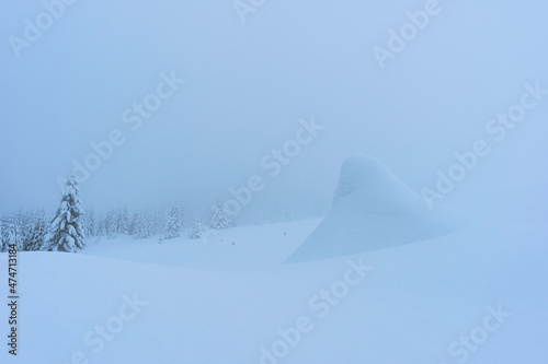 snow shape ( Latorita Mountains, Romania, December 2021)