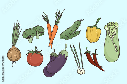 Set of diverse fresh vegetables isolated on light background. Collection of natural organic bio veggies for open market or supermarket ad. Nutrition and diet, clean eating. Vector illustration. 