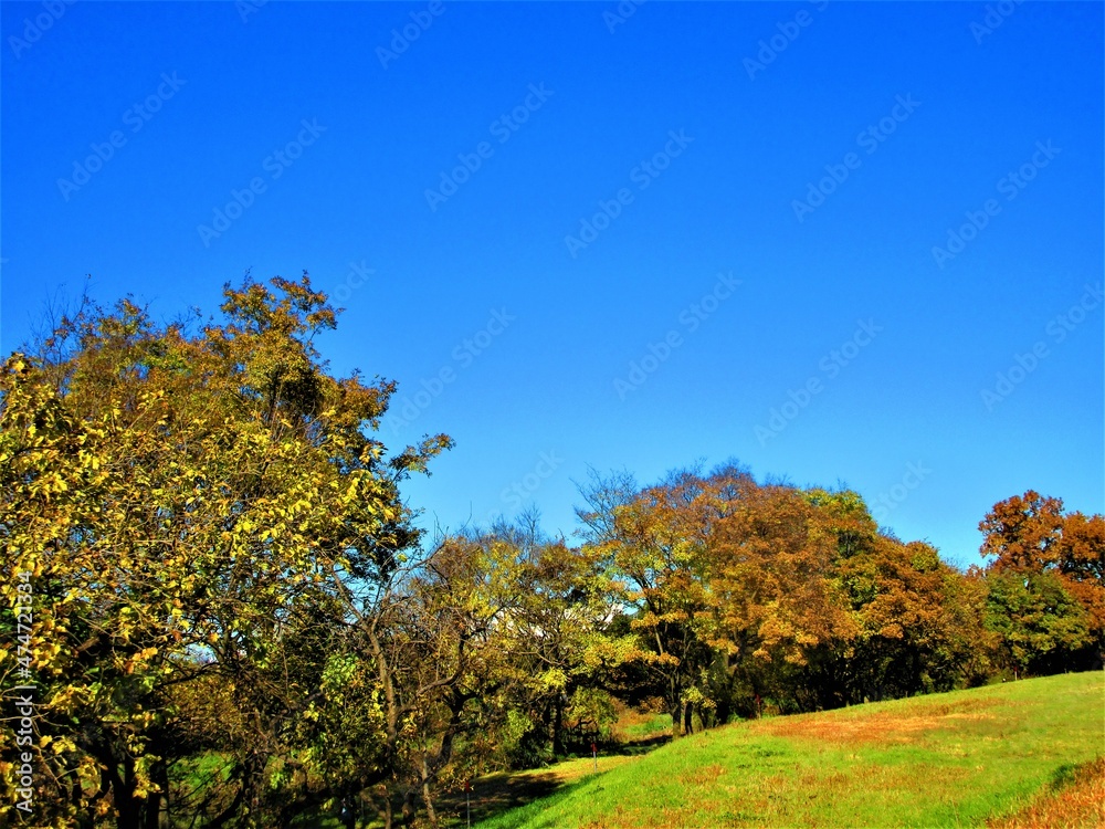 秋の晴れた公園 秋の晴れた公園