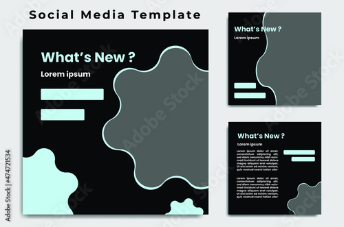 social media templates are suitable for promoting all forms of products or services D13 photo