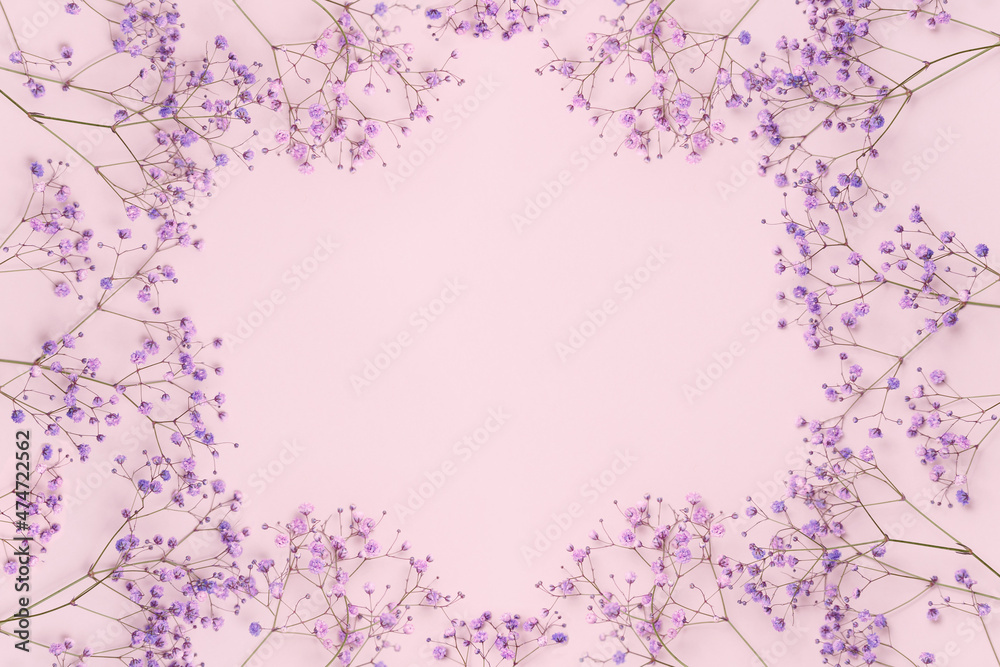 banner with flowers gypsophila on a pink background