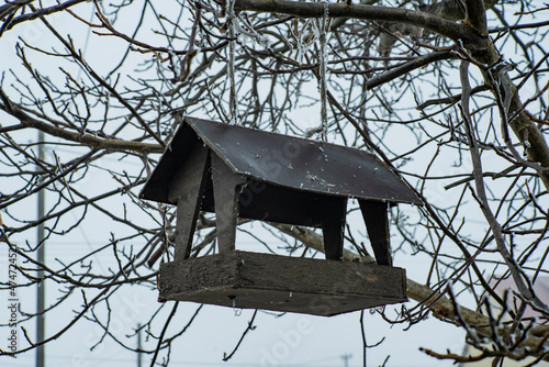 Karmnik dla ptaków, karmnik dla ptaków na drzewie, Karmnik dla ptaków zimą © Follow the Sun