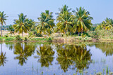Tropical landscape with palmtrees reflected in the water in Kerala, South India