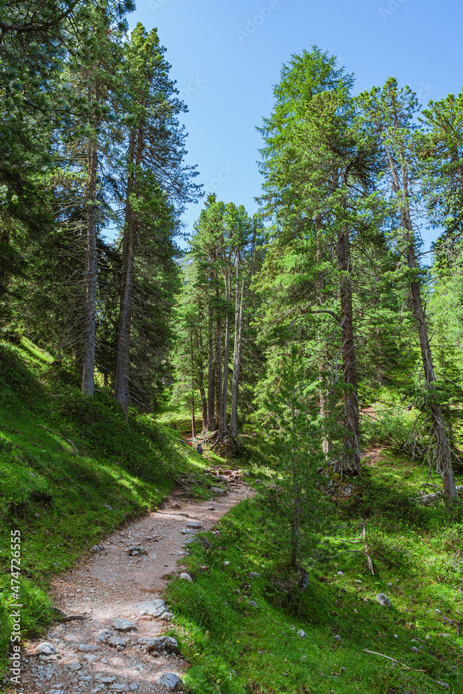 A path through the woods and mountains of Val Di funes, in the Italian Dolomites, near the village of Funes, Italy - August 2021.