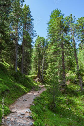 A path through the woods and mountains of Val Di funes  in the Italian Dolomites  near the village of Funes  Italy - August 2021.