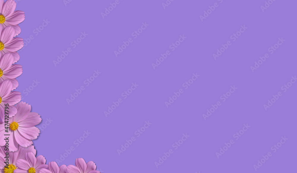 Layout, universe, pink on purple background, use text design and products