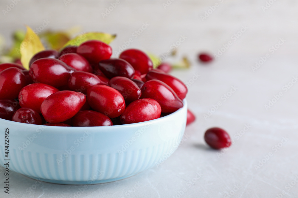 Fresh ripe dogwood berries in bowl on light grey table, closeup Fresh ripe dogwood berries in bowl on light grey table, closeup