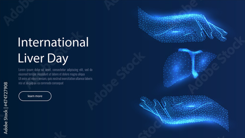 Liver health low poly wireframe banner vector template. Cirrhosis and hepatitis medical treatment, transplantation service poster polygonal design. Human organ 3d mesh art with connected dots
