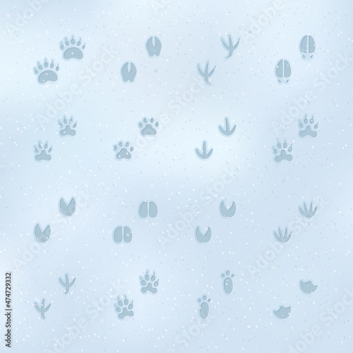 set of animal footprints on the snow