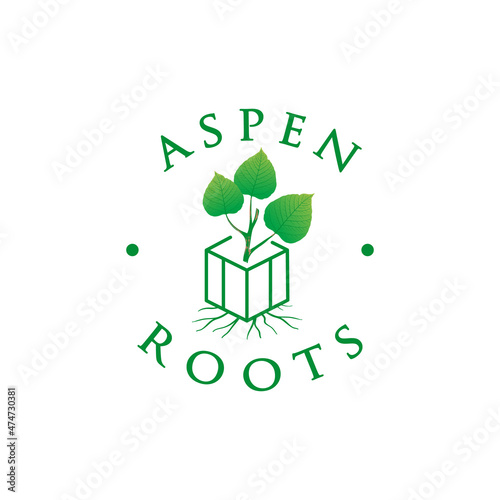 root aspen leaf logo in box
