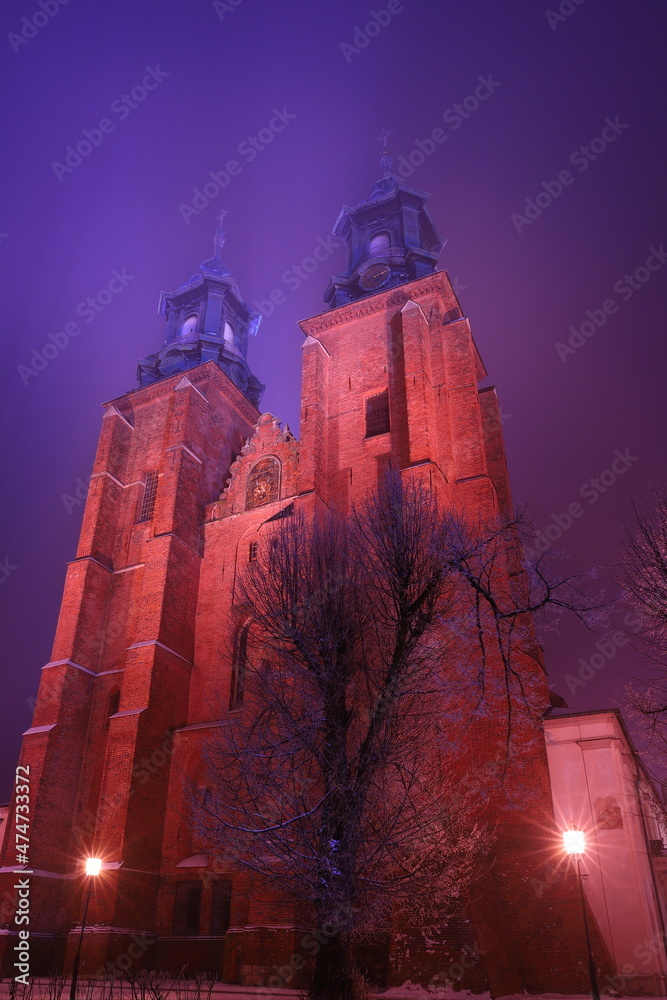 Katedra Gniezno, noc, mgła, zima