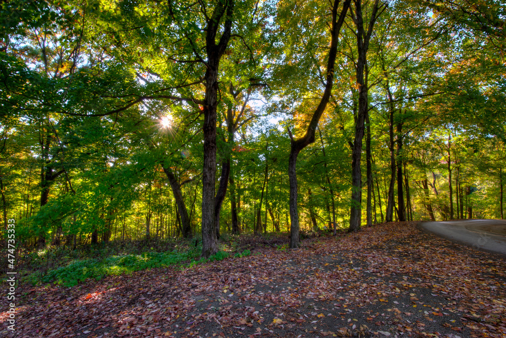 Sunshine trough an Autumn forest. Pere Marquette State Park in Illinois Sunshine trough an Autumn forest. Pere Marquette State Park in Illinois