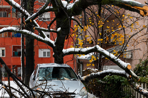 Tree fell on the car and crushed it due to heavy snow storm photo