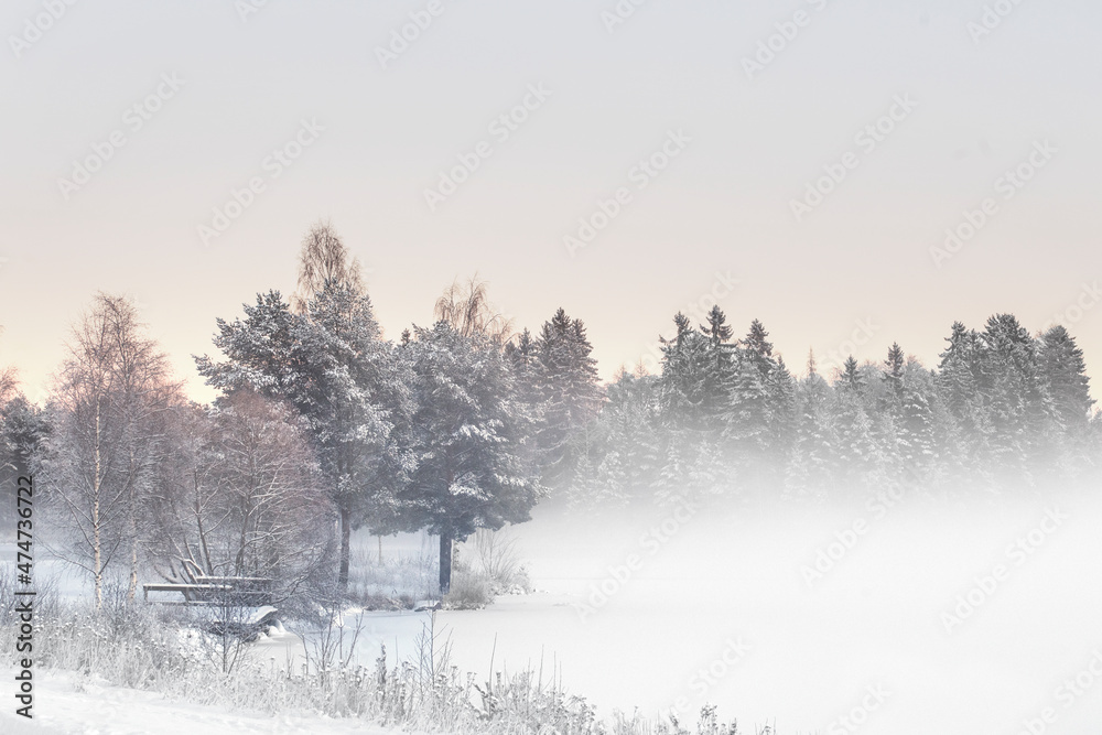 Naklejka premium Dock in winter fog