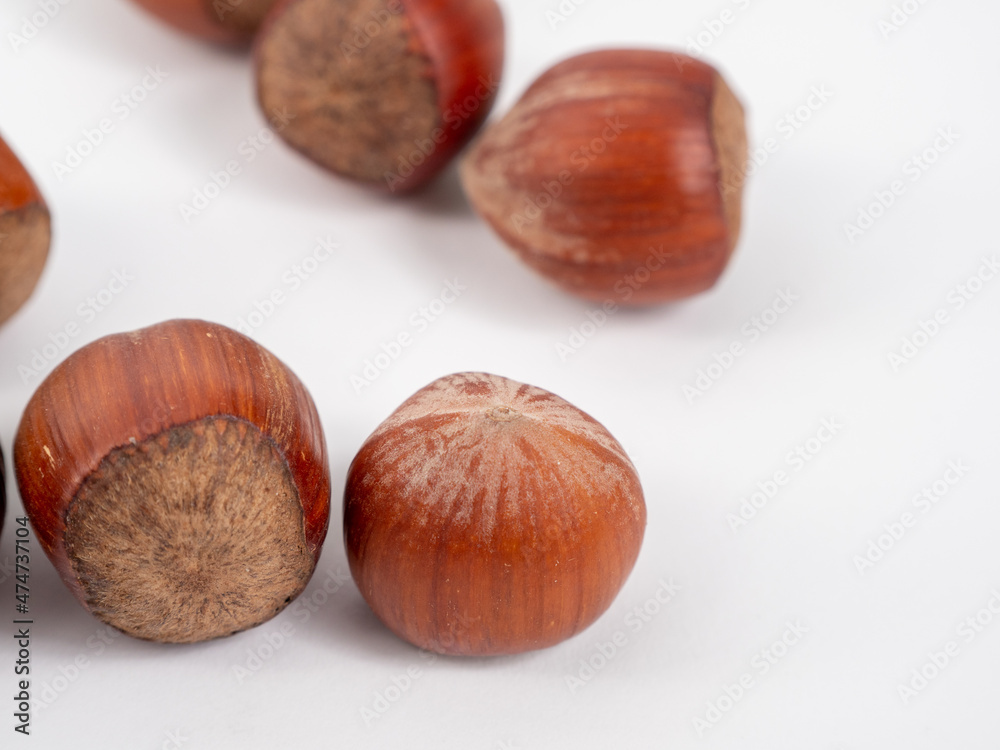 Hazelnuts on a white background. Hazelnuts on a white background.
