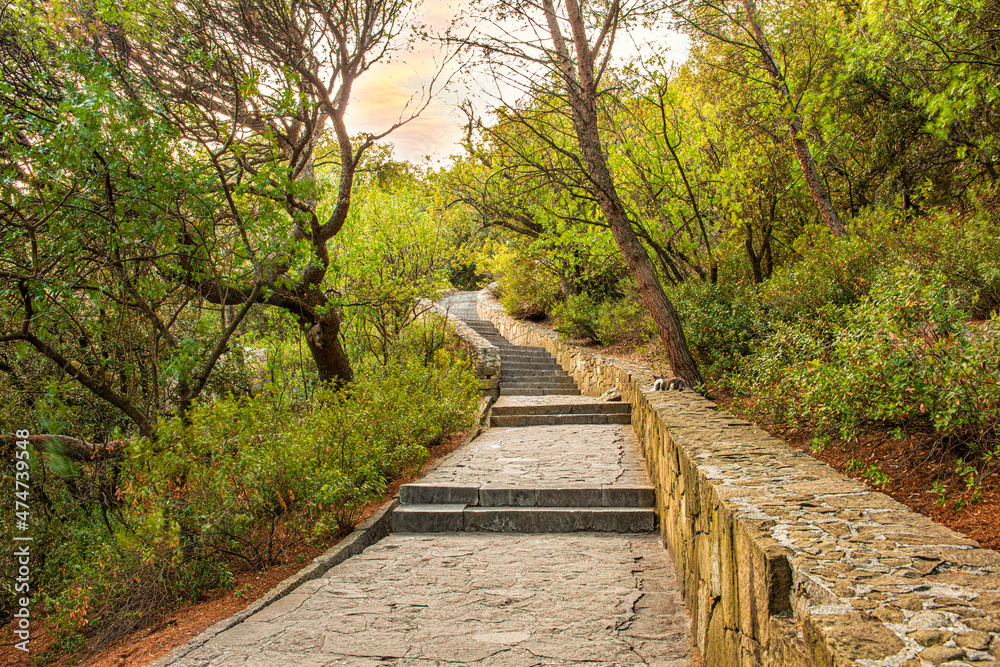 a long climb up the mountainside with stone steps a long climb up the mountainside with stone steps