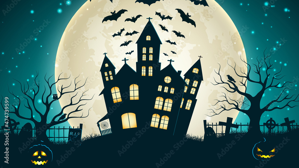 Beautiful /haunted halloween castle  moonnight or moon light  background