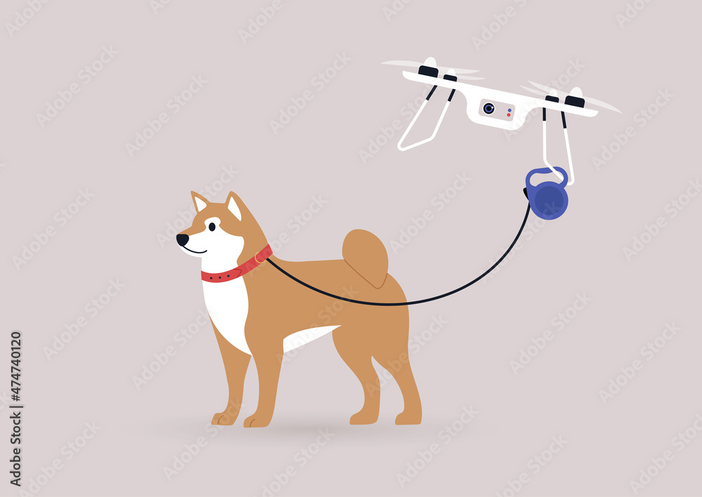 A flying drone copter walking a shiba inu dog, new technologies in daily  life, modern lifestyle concept Stock Vector | Adobe Stock