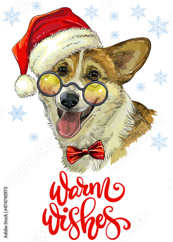 Christmas dog welsh corgi vector hand drawn illustration