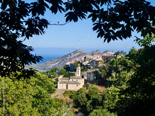 Traditional Corsican stone village Poggio d'Oletta, Nebbio Valley, seen through chestnut leaves. photo