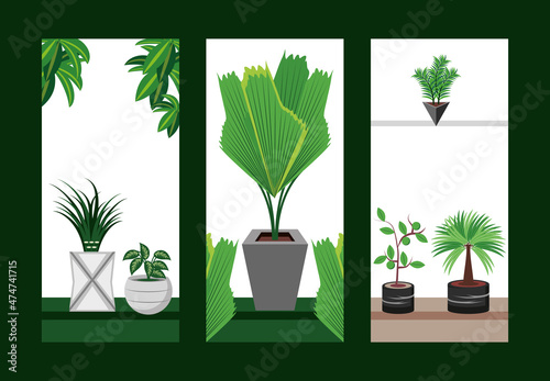 houseplants decoration banners