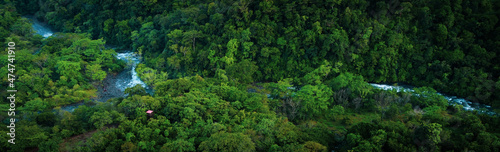 La selva de la reserva de la biosfera de Los Tuxtlas, lleno de biodiversidad, esta área natural protegida se ubica en Veracruz, México. photo
