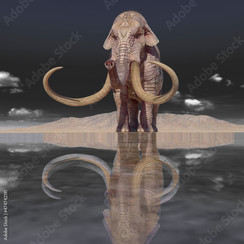 mammoth in the desert after rain with reflection on water