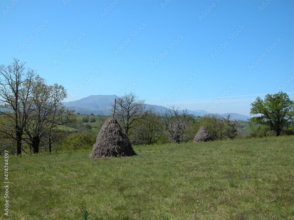 Obraz na plátně Foins au Pays Basque