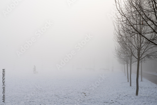 silna mgła w parku i człowiek bawiący się z psem