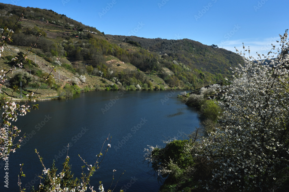 Naklejka premium Springtime by the river