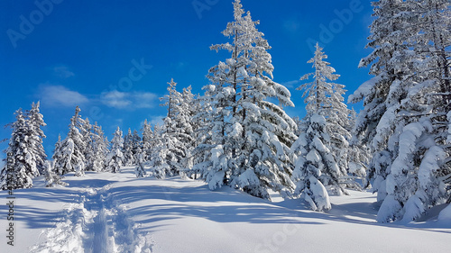 Winter wonderland in the Austrian Alps, Vorarlberg
