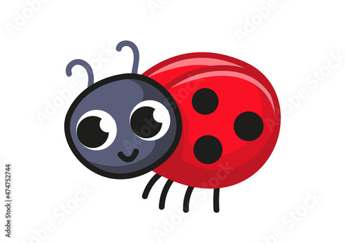 The cute ladybug smiles. Cheerful insect red bug. Vector character illustration in childish style, isolate on a white background.