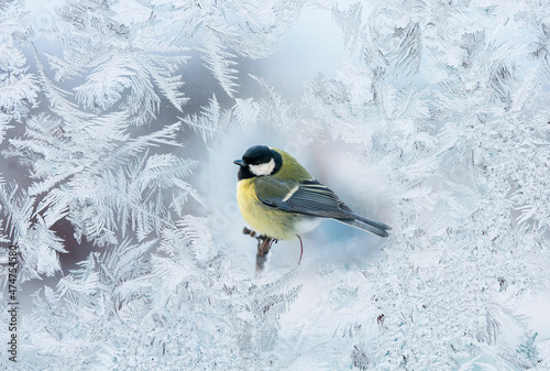 view through frozen glass with patterns in the winter garden on a bird tit sitting on a branch