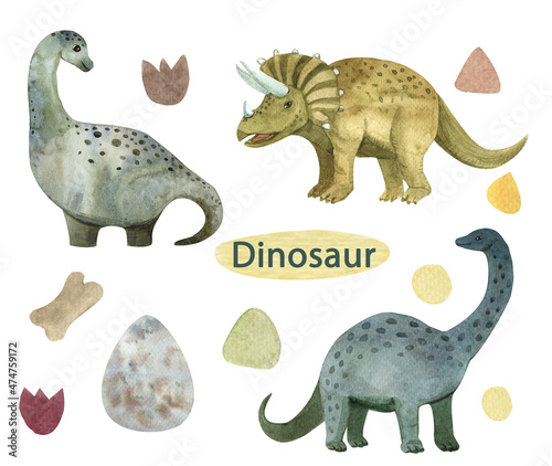 Set of dinosaurs diplodocus triceratops dinosaur egg footprints and stones watercolor illustration for children