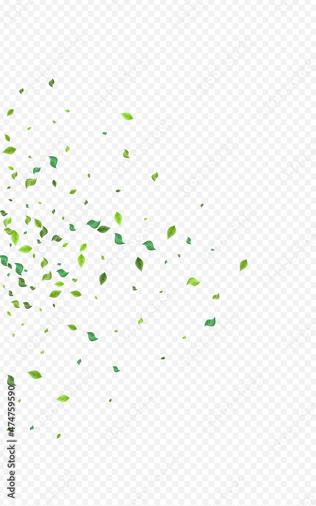 Grassy Leaf Ecology Vector Transparent