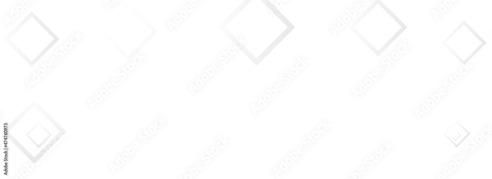 White Ornament Simple Vector Panoramic