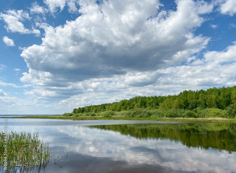 natural landscape on the lake shore without people