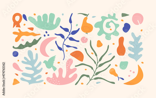 Set of color hand-drawn organic shapes in Matisse style. Abstract objects with textures, bird, shell, pear, coral, moon.