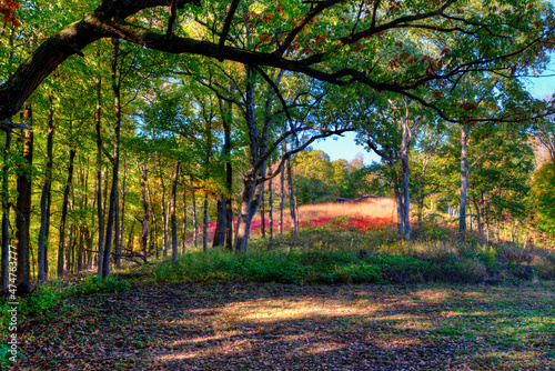 grassy meadow on a hill surrounded by an Autumn forest. Pere Marquette State Park, Illinois