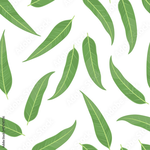Green eucalyptus leaves seamless pattern. Botanical background. Vector illustration of medical herb. Cartoon flat style.