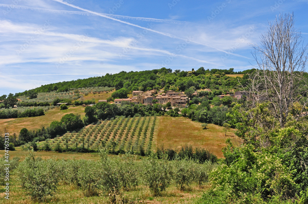 Obraz premium Le colline e gli antichi borghi dell'Umbria verso Trevi