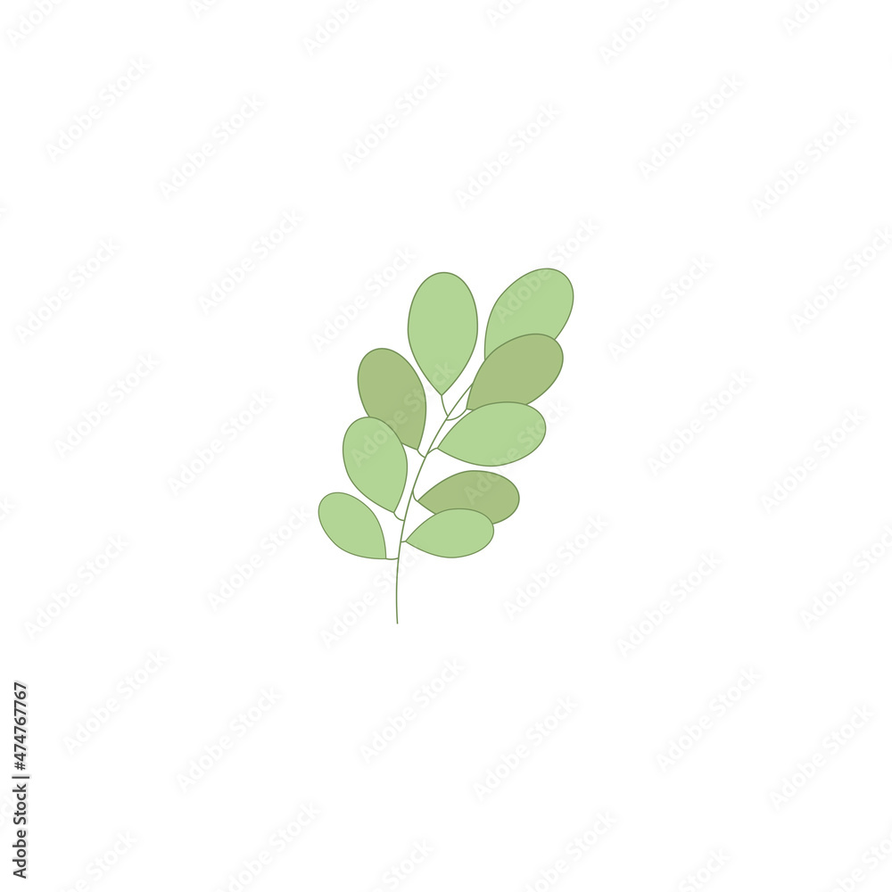 Green twig with leaves. Element for design, logo, banner. Vector. Green twig with leaves. Element for design, logo, banner. Vector.
