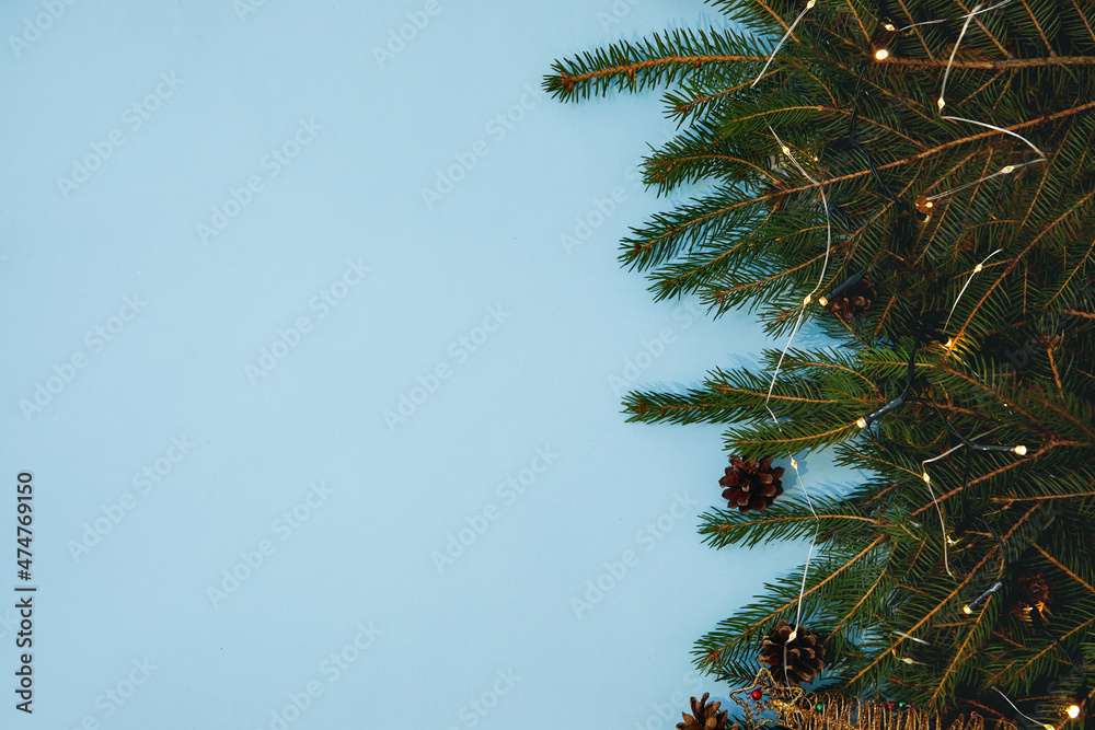 Obraz premium Layout made of Christmas tree branches on blue background. Nature New Year concept.