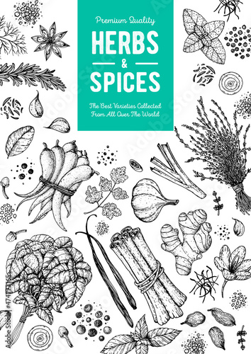 Herbs and spices hand drawn vector illustration. Aromatic plants. Hand drawn food sketch. Great for package. Vintage illustration. Card design. Sketch style. Spice and herbs black and white design.